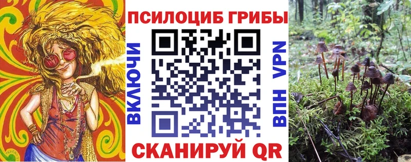 OMG ССЫЛКА  Юрьев-Польский  Псилоцибиновые грибы Cubensis 